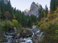 DSC 8795 Kopie 2  Rosenlaui